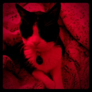 Meet your Posher, Melisa